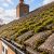 raven-roof-moss-under-500kb